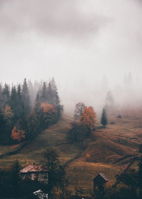 Nature and Autumn, gifts from our planet merging together forming one magical combination.  | Fall | Leaves | Pine trees | Landscape | Mountains | Photography | Wanderlust | Europe | Countryside Landscape Edging Stone, Landscape Photography Tips, Landscape Edging, Landscape Paintings Acrylic, Landscape Photography Nature, Photo Journal, Photography Wallpaper, Jolie Photo, Cloudy Day