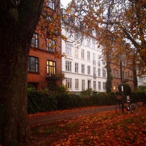 Autumn In Denmark, Denmark Autumn, Copenhagen Autumn, Copenhagen Aesthetic, Cosy Autumn, Autumn Breeze, Fall Mood, Prague Castle, Countries To Visit