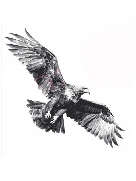 Eagle Wingspan Tattoo, Australian Eagle Tattoo, White Tailed Eagle Tattoo, Wedge Tailed Eagle Tattoo, Realism Eagle Tattoo, Realistic Eagle Tattoo Design, Eagle Flying Tattoo, Soaring Eagle Tattoo, Golden Eagle Tattoo