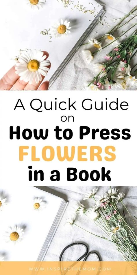 A Quick Guide on How to Press Flowers In a Book - Press Flowers In A Book, How To Dry Out Flowers, Flower Press Book, Handpicked Flowers, Pressed Flowers Diy, Press Flowers, Pressing Flowers, Candle Holder Crafts, Classroom Science