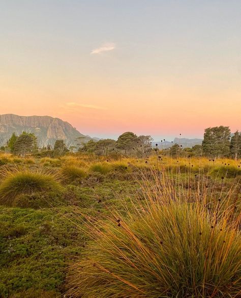 For six days last autumn, a ragtag band of walkers tackled the famed Overland Track and explored central Tasmania’s spectacular flora.⁠ ⁠ The track is Australia’s premier alpine walk and spans 65 kilometres from Cradle Mountain to Australia’s deepest lake, Lake St Clair.⁠ ⁠ Discover the wonders of the Overland Track — link in bio.⁠ ⁠ 📷 @honey.ginis⁠ 📍@tasmania Tasmania Aesthetic, Australia Mountains, Autumn In Australia, Aus Travel, Australia Autumn, Cradle Mountain Tasmania, Central Australia, Beautiful Australia, Cradle Mountain