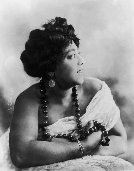 Blues Singers, 1920s Hollywood, Bessie Smith, Personality Art, New Orleans Music, Lady Sings The Blues, Women History, Throwback Photos, Performing On Stage