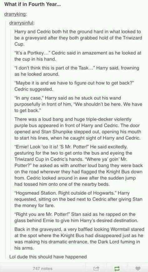 Beedle The Bard, Harry Potter Au, Knight Bus, The Bard, In Denial, Funny Tumblr, Yer A Wizard Harry, Harry Potter Headcannons, Harry Potter Jokes