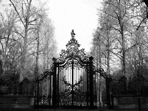 Goth Castle, Goth Architecture, Matching Avatar, Gothic Landscape, Halloween Outfit Ideas, Avatar Ideas, Gothic Aesthetic, Dark Gothic, Iron Gate