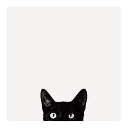 Cat Posters for sale at AllPosters.com Curiosity Killed The Cat, Posters Wall Art, Posters For Sale, Bunny Art, Posters Wall, Cat Posters, Posters And Prints, Posters Prints, Poster Wall