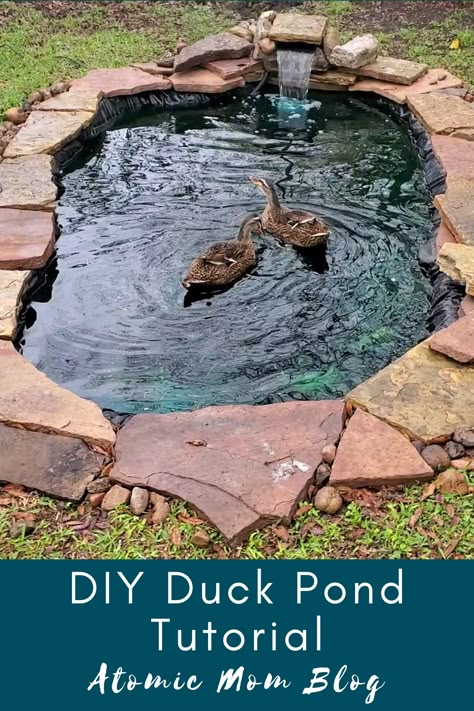 Free Duck House Plans, In Ground Duck Pond, Shed Into Duck Coop, Diy Small Duck Pond, Diy Goose Pond, Duck Pond Ideas Backyards, Diy Chicken And Duck Coop Ideas, Duck Pond With Filter, Home Duck Pond