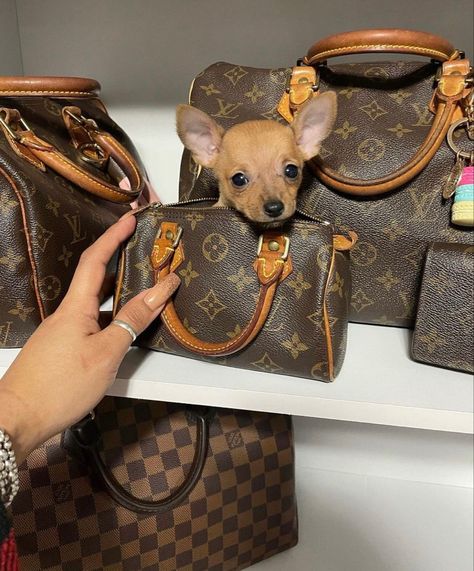 Louis vuitton speedy 35