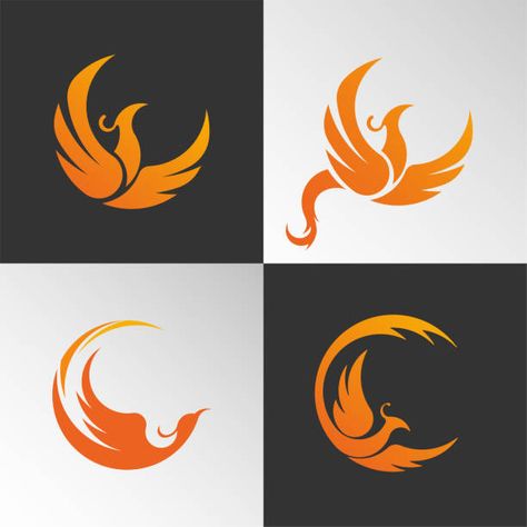 Phoenix Vector, Phoenix Images, Phoenix Logo, Dragon Icon, Bird Illustrations, Mythical Birds, Black Paper Drawing, Bird Logo, Logo Design Process