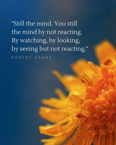 L A U R I on Instagram: ""Still the mind. You still the mind by not reacting. By watching, by looking, by seeing but not reacting. You sit in the silence observing your mind thinking. Observing your thoughts. Observing your feelings. And you leave them alone. You no longer try to change anything. You stop following your thought patterns. As we discussed before you "Drop it!" Whatever comes to you, you simply drop it! You no longer go along with your thoughts. You catch yourself every time the th The Mind Quotes, Thought Patterns, Self Realization, Mind You, Mind Quotes, You Left, Mindfulness Quotes, Healing Quotes, Self Awareness