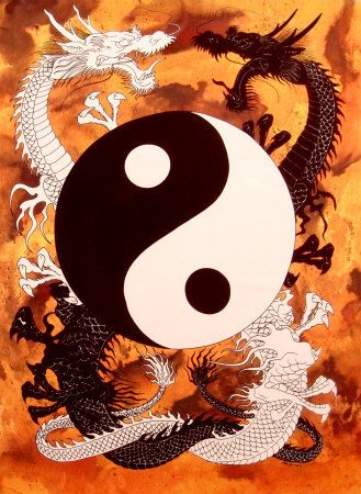 Yin-yang Dynamics: Explaining Jung’s Anima Animus Esoteric Quotes, Jing Y Jang, Anima And Animus, Jin Jang, Yin Yang Art, Yin Yang Tattoos, Tao Te Ching, Fabric Poster, Ying Yang