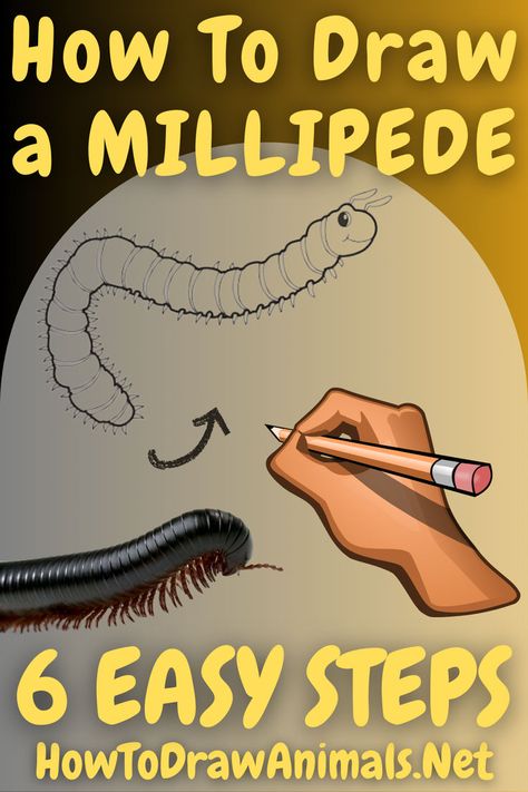 Master Drawing Millipedes with Our Step-by-Step Tutorial – Bring the Intricate Beauty and Complexity of These Many-Legged Wonders to Life! Millipede Drawing, Unique Creatures, Nature Sketch, Easy Drawing Tutorial, Drawing Guide, Drawing Tutorial Easy, Insect Art, Guided Drawing, Easy Drawing