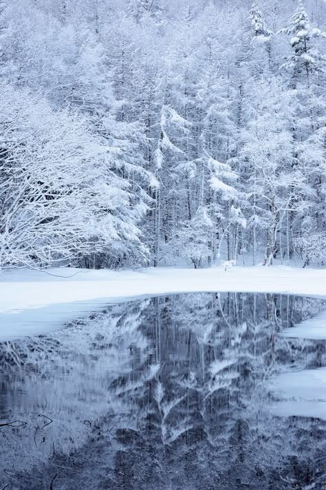 catxlyst: 冬鏡 (by Yukio.s) - Meena's Tirith Raindrops And Roses, Snow Aesthetic, Winter Pics, Walking In A Winter Wonderland, Beauty Of Winter, Magical Winter, I Love Winter, Ice Snow, Love Winter