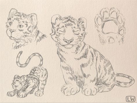 Baby tiger digital sketches and drawings by Lauren Whitesides, mangofroggy on redbubble Baby Tiger Drawing, Tiger Cub Drawing, Tiger Sketch, Tiger Drawing, Face Drawing Reference, Productive Things To Do, Baby Tiger, Tiger Cub, Baby Cartoon