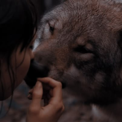 Werewolf Aesthetic, Therian Stuff, Royalty Aesthetic, Wolf Love, A Wolf, Jacob Black, Fantasy Aesthetic, Wolf Pack, Arte Fantasy