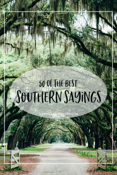 If you're from the South, you'll be familiar with most of these southern sayings, and you'll understand that sometimes, this is the only way to get our point across. #southernsayins #funnysouthernsayings #southernquotes #servingupsouthern #southernisms #sassysouthernsayings #50southernsayings #deepsouthsayings Quotes From People, Funny Southern Sayings, Southern Phrases, Southern Belle Secrets, Southern Slang, Southern Humor, Southern Life, Southern Sayings, Southern Girls