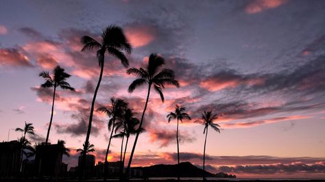 Good Morning Hawaii! [2560x1440] Aesthetic Youtube Banner 2560x1440, Hawaii Macbook Wallpaper, Hawaii Aesthetic Wallpaper Laptop, Hawaii Laptop Wallpaper, 2560 X 1600 Desktop Wallpapers, Hawaiian Laptop Wallpaper, Hawaii Desktop Wallpaper Aesthetic, Hawaii Landscape Wallpaper, Pc Background