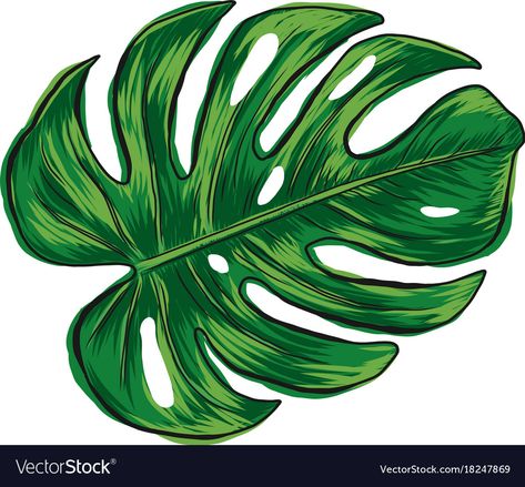 Monstera Clipart, Leaf Vector, Leaf Clipart, Leaf Template, Easy Canvas Art, Leaf Drawing, Leaves Vector, Big Leaves, Monstera Deliciosa