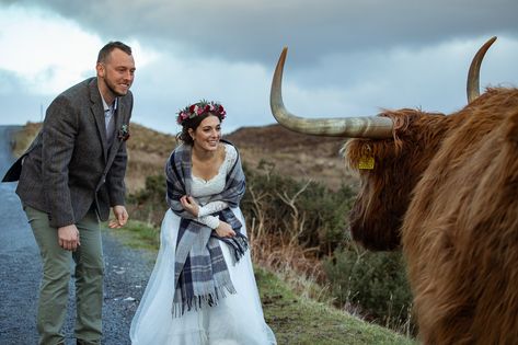 Scotland Honeymoon, Cow Wedding, Wedding Isles, Romantic Elopement, Highland Wedding, Elopement Wedding Photography, Artistic Wedding Photography, Scotland Wedding, The Isle Of Skye