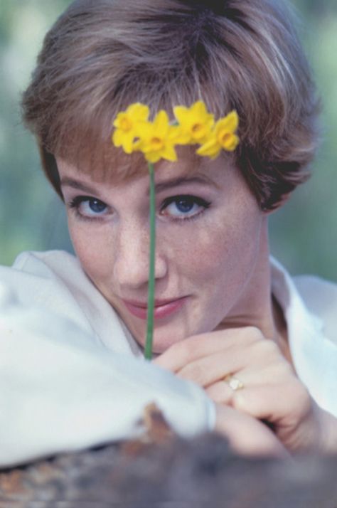 Beautiful Julie Andrews Photographed by Bob Willoughby in 1965 ~ Vintage Everyday Flowers In Her Hair, Julie Andrews, Stana Katic, English Actresses, Julia Roberts, Music Icon, Music Photography, Vintage Music, Sound Of Music