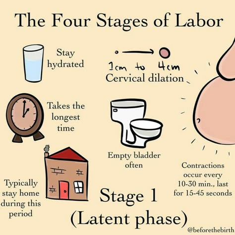 Cervical Dilation, Early Labor, Unmedicated Birth, Birth Education, Baby Delivery, Stages Of Labor, Run A Marathon, Newborn Mom, Childbirth Education