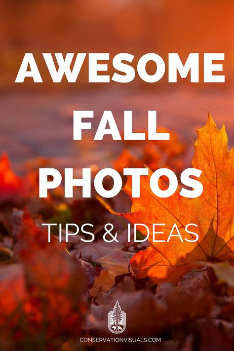 Autumn Photography Idea, Fall Camera Settings, Landscape Photo Ideas, Unique Pictures Creative Photography, Camera Filter Settings, Fall Outdoor Pictures, Autumn Pictures Photography, Autumn Photography Ideas, Photography Tricks Creative