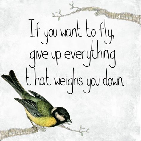 Inspirational Bird Quote Freedom Calligraphy: very uplifting with beautiful bird image Bird Quotes, Freedom Quotes, Quotes Positive, Quotable Quotes, A Quote, Quote Posters, Wise Quotes, Meaningful Quotes, The Words