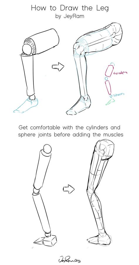 How To Draw Legs, Legs Sketch, Anime Anatomy, Leg Drawing, Leg Anatomy, Drawing Legs, Human Body Drawing, Anatomy Tutorial, Human Anatomy Drawing