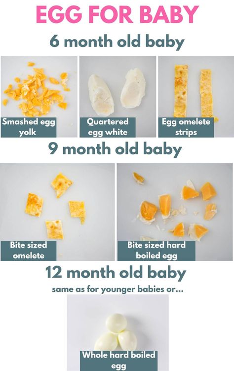 Infant Led Weaning, Baby Led Weaning First Foods No Teeth, Blw Eggs 6 Months, Baby Led Weaning First Foods 6 Months Meal Ideas, How To Serve Eggs To 6 Month Old, Solid Foods For 9 Month Old, How To Cut Food For Baby Led Weaning, Baby Led Weaning Breakfast 6 Months, 6 Month Old Puree Recipes