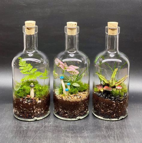 James Harris on Instagram: “Three Whiskey Bottle Terrariums.  With ceramic mushrooms made by @amelia.armitage  Which one is your favorite? Comment 1, 2 or 3” Whiskey Bottle Terrarium, Ceramic Mushrooms, Bottle Terrarium, Which One Are You, Whiskey Bottle, Terrarium, Whiskey, Stuffed Mushrooms, Ceramics