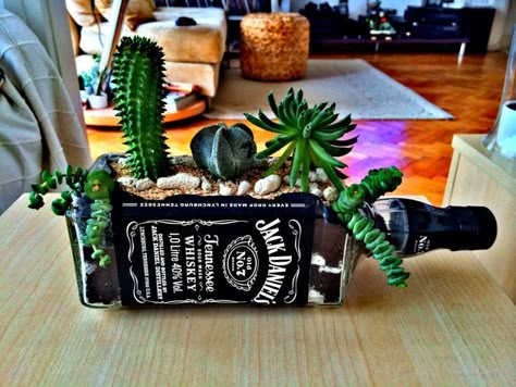 Whisky Jack Daniels, Jack Daniels Gifts, Glass Bottle Ideas, Jack Daniels Bottle, Liquor Bottle Crafts, Whiskey Lover Gifts, Whiskey Gifts, Bottle Garden, Succulent Gifts