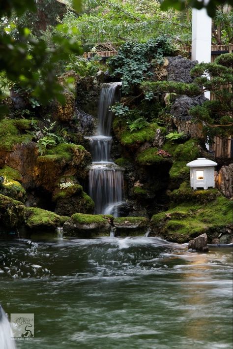 Japanese Waterfall Garden, Zen Garden Waterfall, Japanese Garden Water Feature, Chinese Waterfall, Japanese Yard, Japanese Water Feature, Zen Waterfall, Japanese Waterfall, Japanese Pond