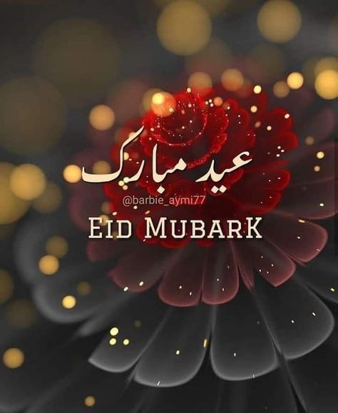 T Wallpaper Letter Iphone, Happy Eid Mubarak Wishes, Eid Al Adha Wishes, Eid Mubarak Wishes Images, Happy Marriage Anniversary Cake, Eid Mubarak Photo, Eid Wallpaper, Eid Quotes, Eid Mubark