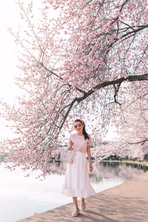 https://www.extrapetite.com/2019/04/leather-cerchio-sneaker-dc-cherry-blossoms-outfit.html Cherry Blossom Outfit Ideas, Blossom Outfit Ideas, Leather Sneakers Outfit, Spring Outfits With Jeans, Cherry Blossom Photoshoot, Washington Dc Cherry Blossoms, Cherry Blossom Outfit, Korean Spring Outfits, Blossom Outfit