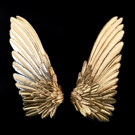 White And Gold Aesthetic Pictures, Gold Wings Angels, Gold Aesthetic Pictures, Wing Aesthetics, Wings Aesthetics, Angel Wings Aesthetic, Black And Gold Artwork, Aesthetic Wings, Wing Photography