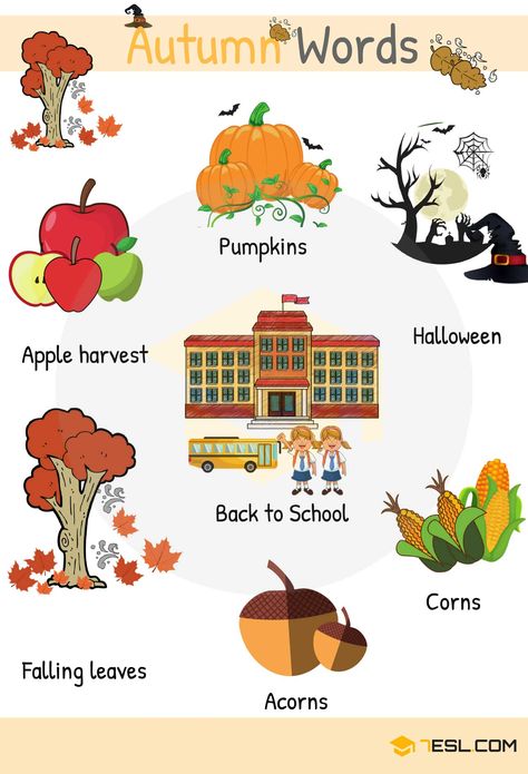 Autumn Words: Useful Autumn Vocabulary with Pictures - 7 E S L Jojo Games, Animals Name List, English Autumn, Autumn Words, Teaching Maps, Summer Vocabulary, Winter Words, Fall Kindergarten, Learning English For Kids