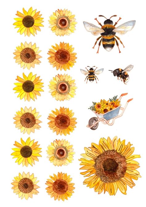 Scrapbooking Printables, Sunflower Printable, Craft Papers, Bee Printables, Seed Storage, Animal Printables, Sunflower Drawing, Sunflower Cards, Spring Printables