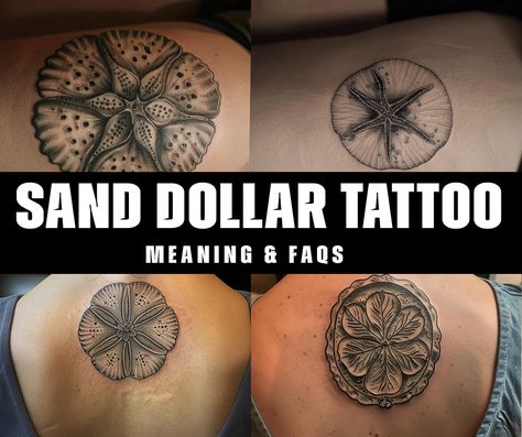 What is the symbolic meaning behind a sand dollar tattoo? San Dollar Tattoo, Starfish Tattoo Meaning, Sand Dollar Tattoo For Women, Brass Knuckle Tattoo, Sand Dollar Tattoo, Ocean Theme Tattoos, Dollar Tattoo, Fingerprint Tattoos, Seashore Decor