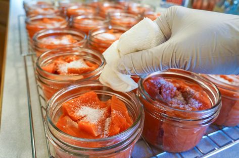 Pickled Salmon Recipes, Canning Salmon, Pickled Salmon, Salmon Salad Sandwich, Hot Water Bath Canning, Canned Salmon Recipes, Dill Salmon, Preserving Foods, Raw Salmon