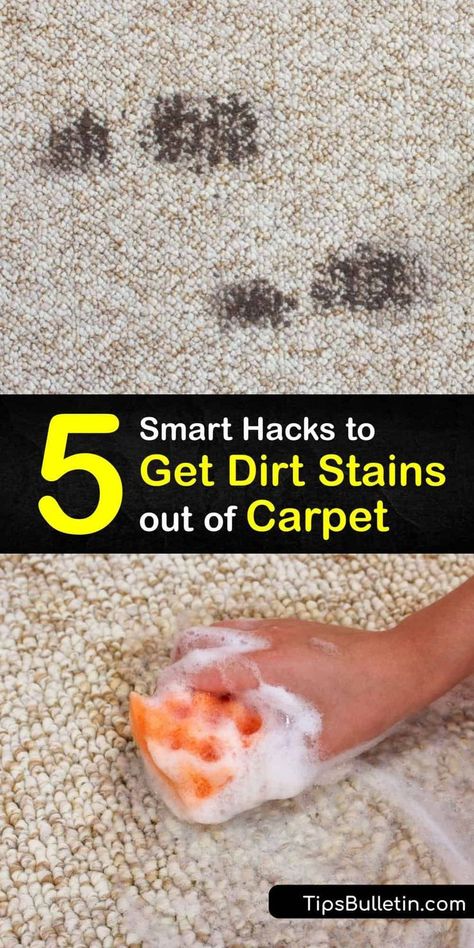 Stains Out Of Carpet, Homemade Carpet Cleaner, Carpet Spot Cleaner, Homemade Stain Removers, Cleaning With Peroxide, Diy Stain Remover, Smart Hacks, Carpet Stain, Cream Carpet