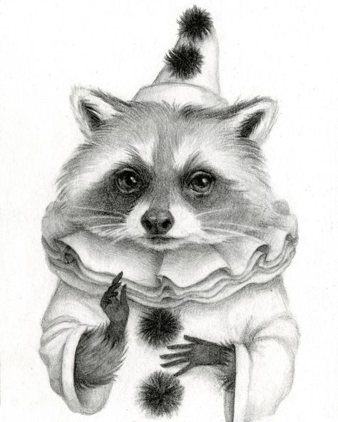 Katie on Instagram: “Clown. Raccoon. Clown Raccoon. #clownraccoon” Clown Raccoon, Racoon Illustration, Raccoon Craft, Racoon Tattoo, Raccoon Drawing, Raccoon Illustration, Raccoon Tattoo, Drawing Basics, Raccoon Art