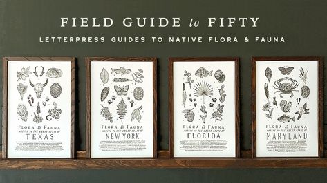 Flora Y Fauna, Field Guide, Raise Funds, The Union, Letterpress Printing, Flora And Fauna, Cotton Paper, Letterpress, Couple Gifts