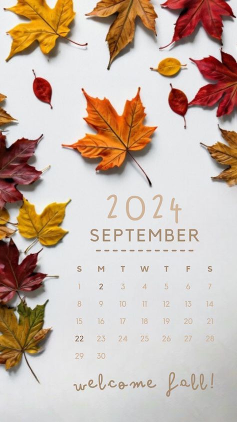 September 2024, Wallpapers, Quick Saves