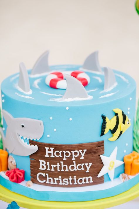 Seaside Birthday Party, Ocean Birthday Cakes, 50 Cake, Shark Birthday Cakes, Candy Buckets, Ocean Birthday Party, Ocean Cakes, Sea Swimming, Shark Themed Birthday Party