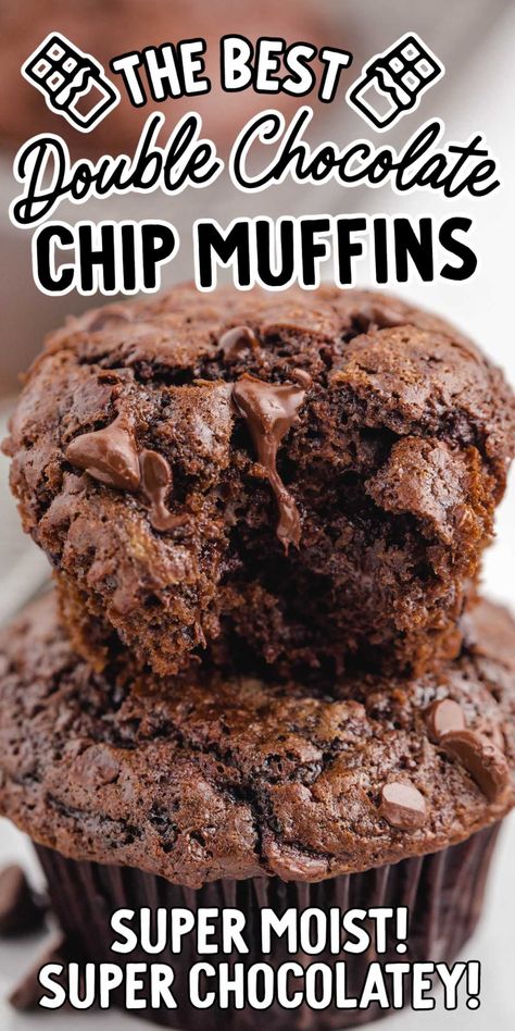 These double chocolate chip muffins are rich, decadent and loaded with two types of chocolate chips for the perfect snack. Double Chocolate Chip Muffin Recipe, Double Chocolate Muffin Recipe, Choc Chip Muffins, Double Chocolate Chip Muffins, Chocolate Chip Muffin Recipe, Chocolate Muffin Recipe, Bakery Style Muffins, Double Chocolate Muffins, Medjool Dates