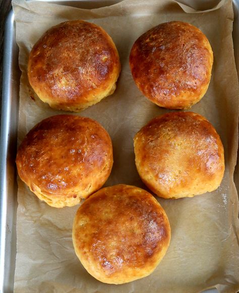 Gluten Free Sweet Potato Browned Butter Rolls Butter Rolls, Glutenfri Baking, Gluten Free Sweet Potato, Gluten Free Thanksgiving, Gluten Free Living, Gluten Free Sweet, Browned Butter, Gf Recipes, Foods With Gluten