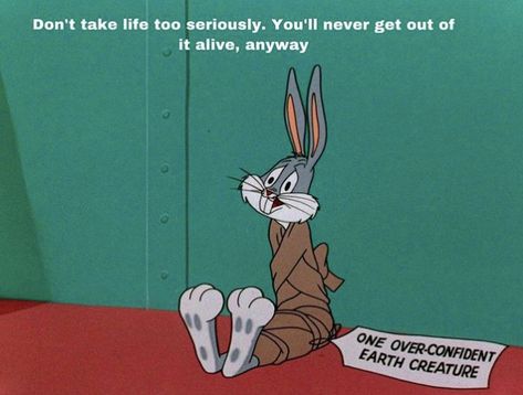 Lola Bunny Quotes, Looney Tunes Quotes, Bucks Bunny, Bugs Bunny Quotes, Foghorn Leghorn Quotes, Looney Tunes Funny, Duck Memes, 80's Movies, Bunny Quotes