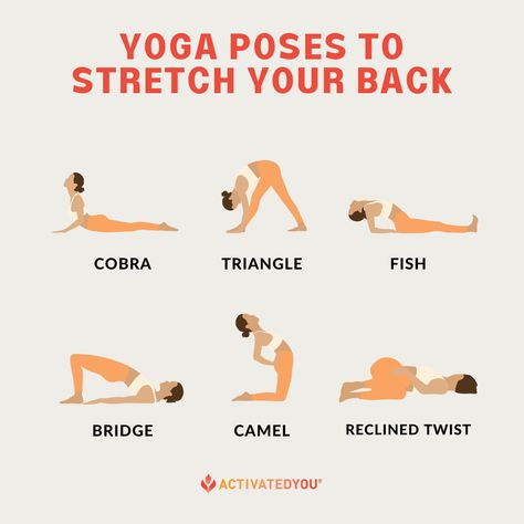 Quick Yoga Routine, Stretch Your Back, Hata Yoga, Home Routine, Quick Yoga, Yoga Home, Yoga Facts, Morning Yoga Routine, Simple Yoga