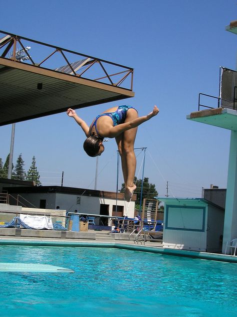 Fem Anatomy, Diving Aesthetic, Swimming Senior Pictures, Diving Sport, Springboard Diving, Gymnastics Lessons, High Diving, Diving Photos, Diving Springboard