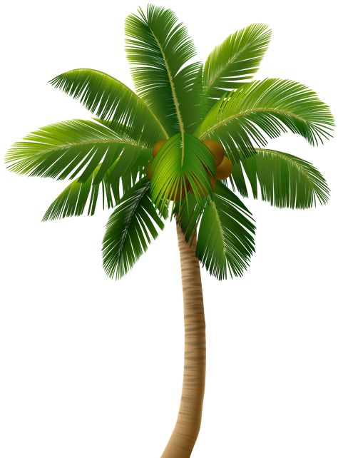 Palm Tree Png, Christmas Palm Tree, Tree Png, Transparent Png, Png Image, Palm Tree, Clip Art, Christmas, Art