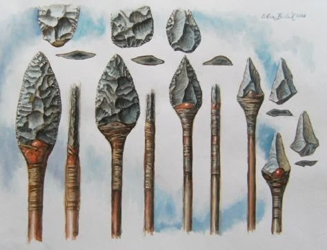 Mousterian Neanderthal spear heads, such spear points have been found in  Germany by Libor Balák. Indian ArtifactsSeptember 2014Stone Age ... Prehistoric People, Stone Age Tools, Native American Tools, History Questions, Arrowheads Artifacts, Spear Head, Primitive Survival, Norfolk England, Early Humans